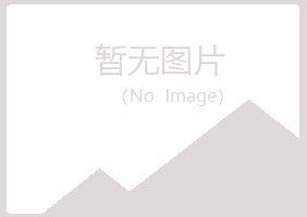 新宁县又菱化学有限公司